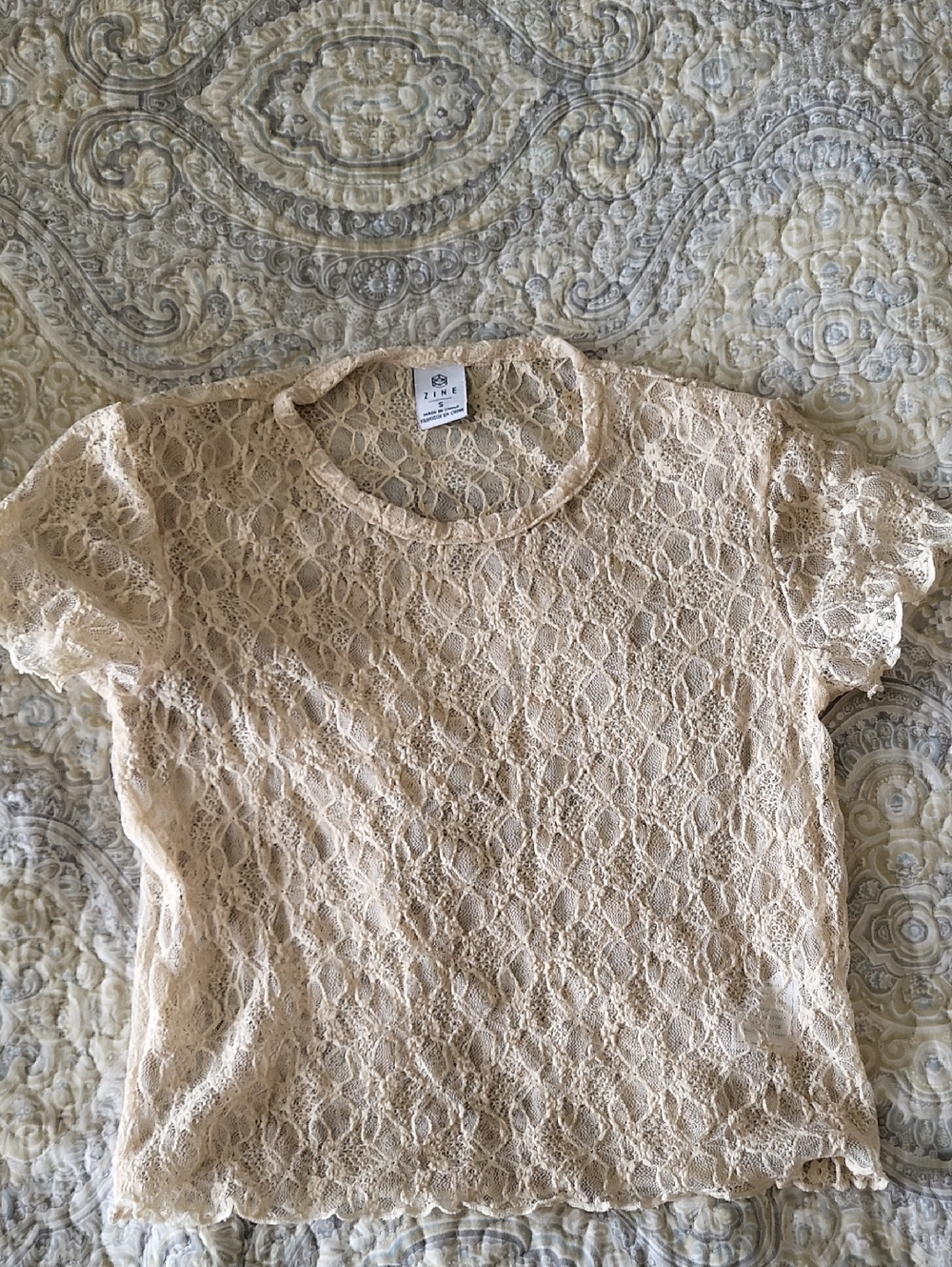 Zine Clothing Lace Short Sleeve Top in Cream